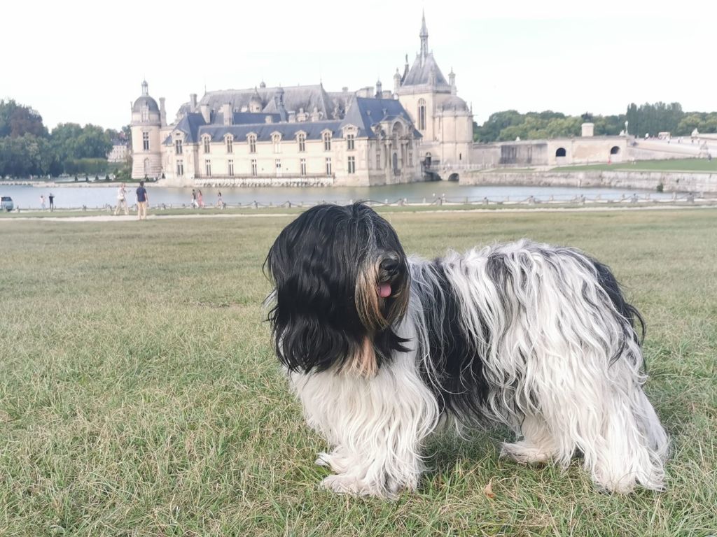De Nature Paisible - La vie de château ?
