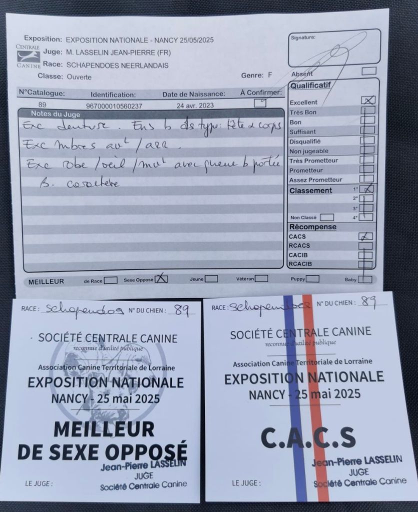 Expos 25/05/25 : part 1