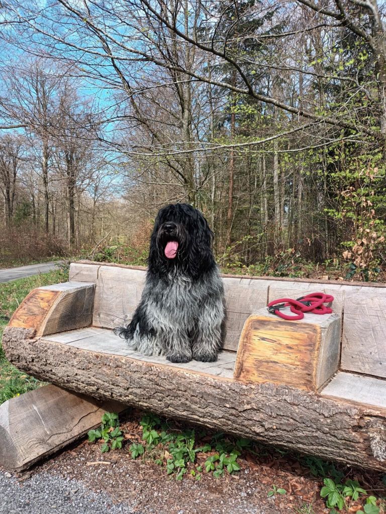 Waboodhi WATSON de Nature Paisible